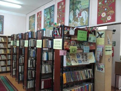 Шимская детская библиотека