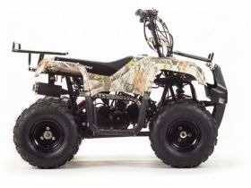Квадроцикл MOTOLAND 110 Rider (2021 Г.)