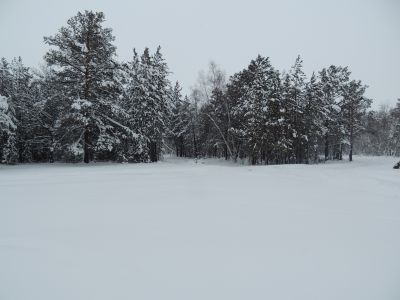 Место гибели командира экспедиционного отряда Стрелова Евгения Васильевича, убитого бандитами 29 ноября 1921 г.
