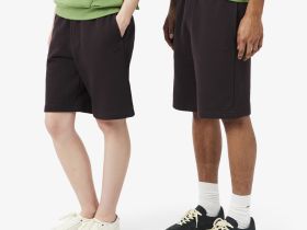 Мужские хлопковые шорты Lacoste