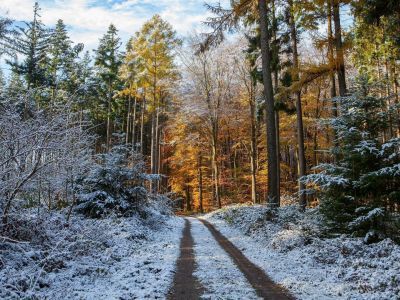 В Якутии в выходные выпадет небольшой снег