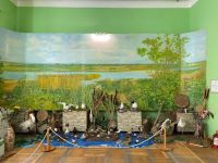 Шахтинский краеведческий музей