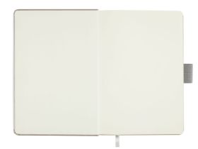 Скетчбук Гамма "Студия" А6 100 л 110 г, серебро, твердая обложка, на резинке, слоновая кость