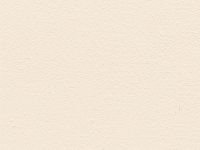 Бумага для акварели Лилия Холдинг 35х50 см 300 г хлопок 100%, слоновая кость