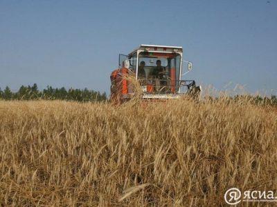 Глава Якутии: сельское хозяйство республики развивается и идет вперед