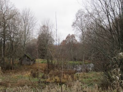 Усадьба сестер Клод. Парк