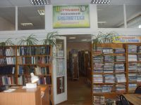 Демянская библиотека