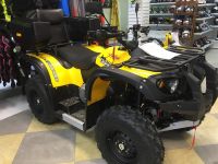 Квадроцикл СТЕЛС ATV 500 YS Leopard