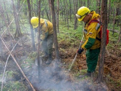В Якутии за сутки ликвидировали 15 лесных пожаров