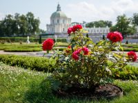 Парк Ораниенбаум