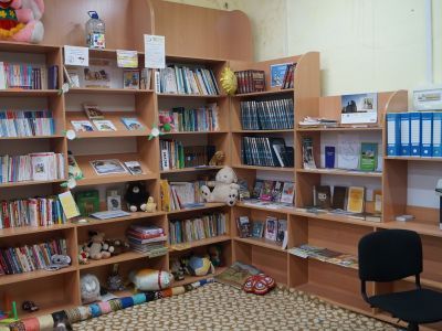 Зебляковская модельная библиотека