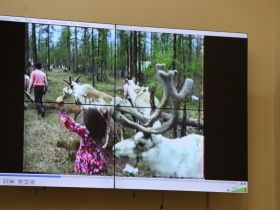 «Никому не отказывала в помощи» – какой была известная шаманка Якутии Матрена Кубертинова