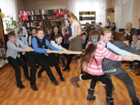 Шелковская модельная библиотека