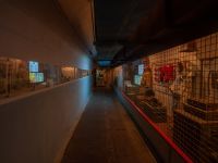 Музей «Подземный Севастополь»