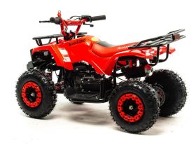 Квадроцикл MOTOLAND 50E Scorpion (2021 Г.)