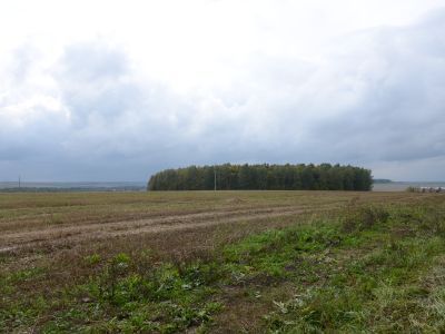 Священная роща