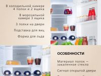 Встраиваемый холодильник Hansa BK318.3FVC
