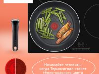 Набор посуды Tefal Ingenio Emotion из 5 предметов 16/20/22/28 см L897S574