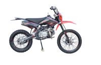 Питбайк REGULMOTO Seven Medalist Pro 19/16