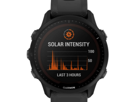 Смарт-часы Garmin Forerunner 955 Solar (Black) (010-02638-20)