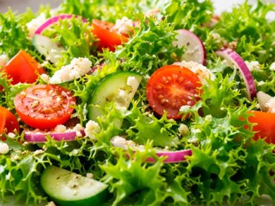 Салат фриллис: вкус, польза, калорийность и советы по выбору