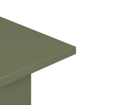 Полка Брилл 100x24 Оливковый