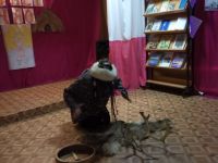 Дом культуры села Снежное