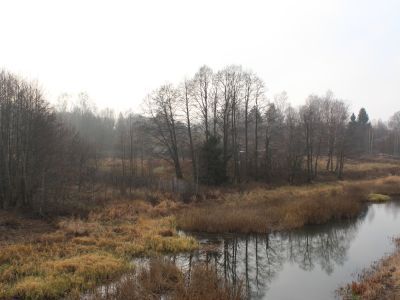 Памятное место, где в 1942 г. гитлеровцами было расстреляно 23 мирных жителя