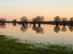 По реке Лена. Техтюр - Якутск (202 мкр.)