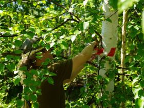 В Якутии определили шаги по реализации проекта «Полет стерха»