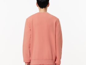 Мужской флисовый свитшот Lacoste с принтом