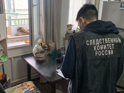 Двухлетний ребенок выпал из окна многоэтажного дома в Якутске