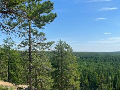 10 лесных пожаров ликвидировали в Якутии за прошедшие сутки