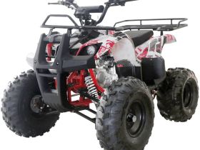 Квадроцикл WELS Thunder 125 Basic