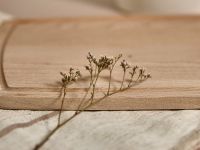 Доска разделочная Forest III