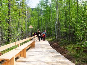 Сплав по реке Лена с посещением Ленских Столбов, тукуланов-песков Самыс Кумага и Кысыл Элэсин