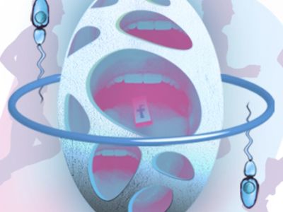 О дивный новый мир