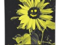 Сноуборд NITRO MOUNTAIN 22/23