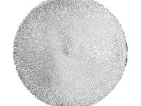 Плейсмат Revelation, серебро