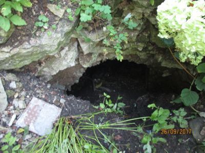 Подвал палат