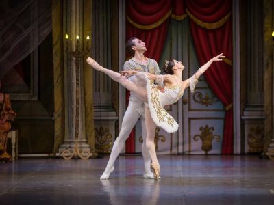 Билеты на Лебединое озеро (Северодвинский драматический театр) / Театр | Афиша | ИнфоТаймс