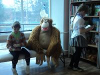 Пионерская детская библиотека