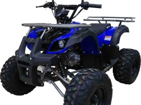 Квадроцикл MOTAX ATV Grizlik-8 125