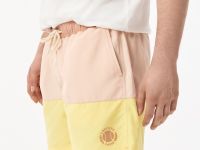 Мужские плавательные шорты Lacoste