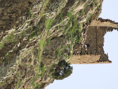 Башня жилая № 1