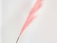 Декоративное украшение Cortaderia, розовое