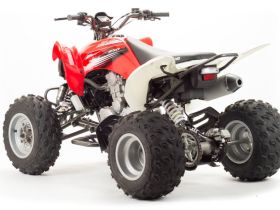 Квадроцикл MOTOLAND 125S (2020 Г.)