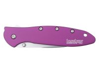 Полуавтоматический складной нож Kershaw Leek 1660PUR, сталь Sandvik™ 14C28N, рукоять анодированный алюминий, фиолетовый