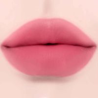Жидкая матовая помада для губ Dinto Madame Butterfly Collection Blurring Lip Veil 102 Legato