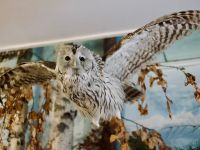 Музей «Дом природы»